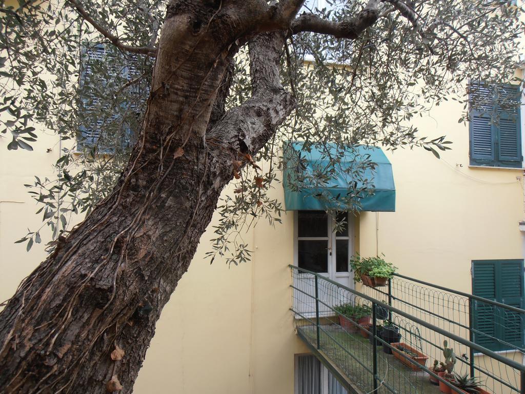 Casa Dell'ulivo *