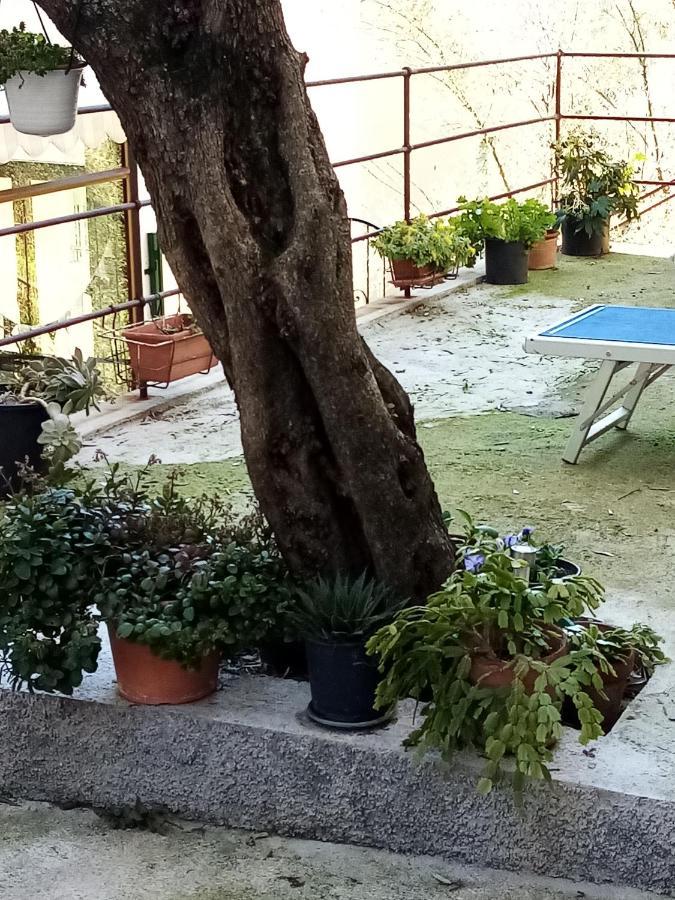 Casa Dell'ulivo Apartment *
