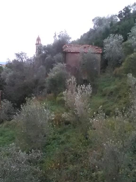 Apartment Casa Dell'ulivo